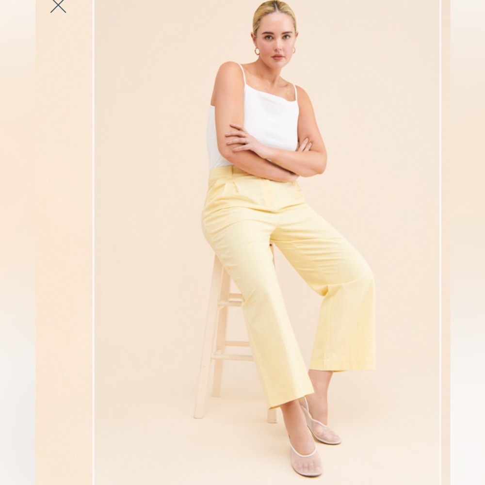 NWOT 4th and Reckless Williams Pleated Trousers